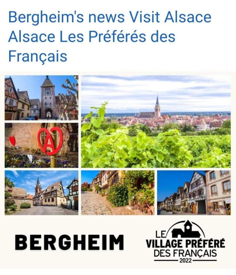 La Maison Des Tanneurs Ribeauvillé Buitenkant foto