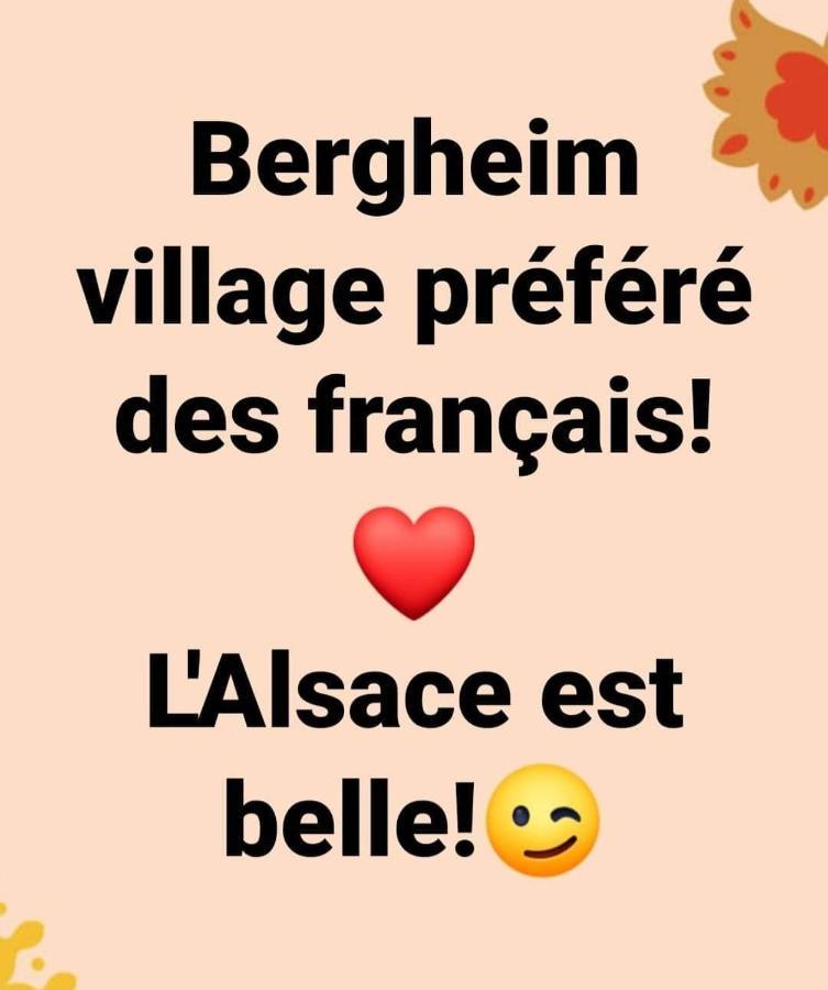 La Maison Des Tanneurs Ribeauvillé Buitenkant foto