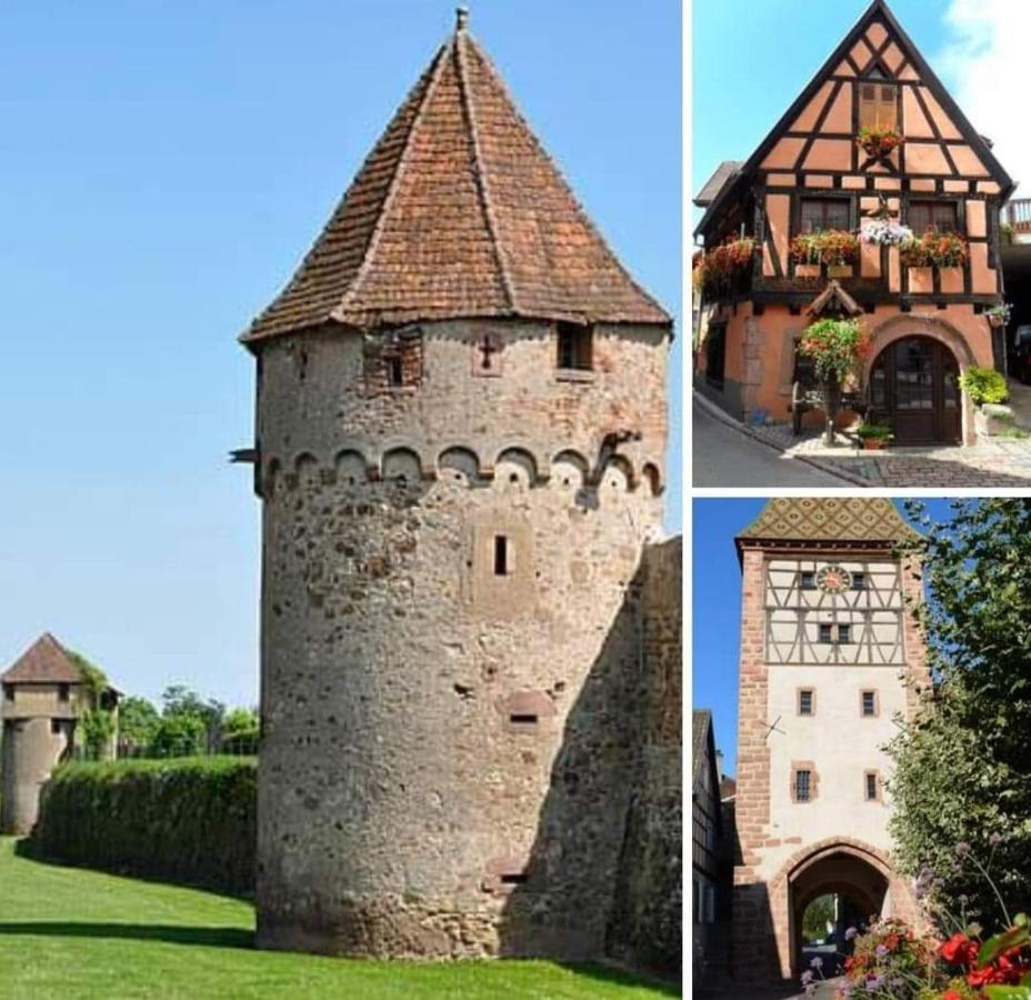 La Maison Des Tanneurs Ribeauvillé Buitenkant foto